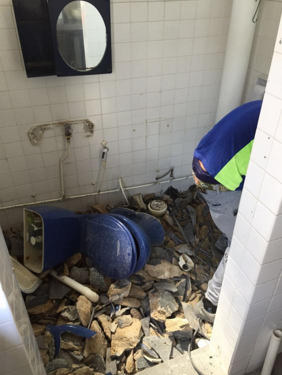 WhatsApp-Image-20160606 (1).jpg