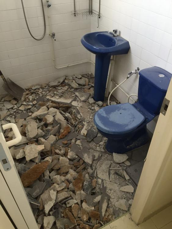 WhatsApp-Image-20160606 (2).jpg