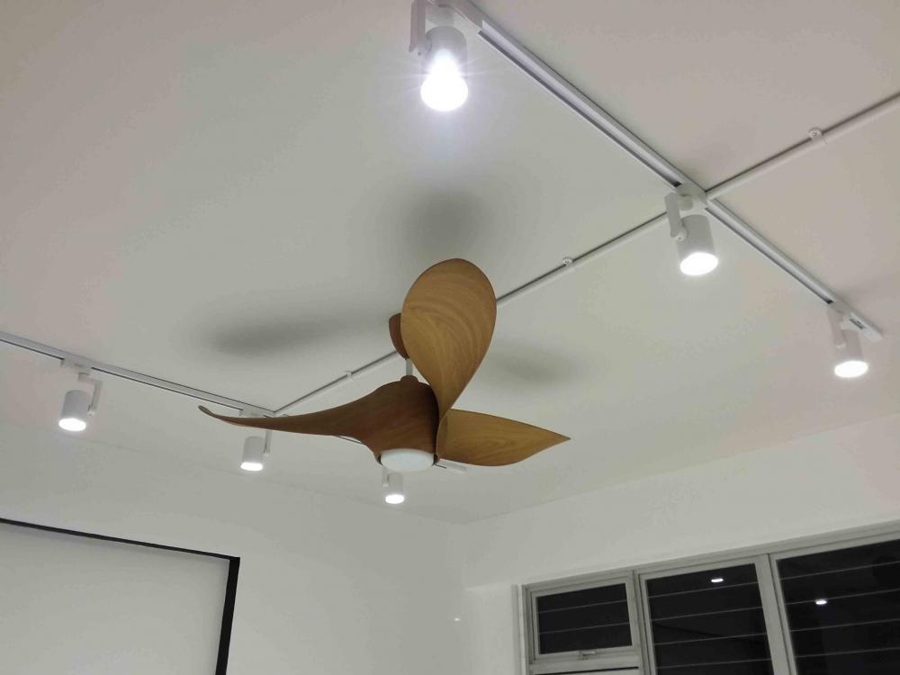 haku celling fan.jpg