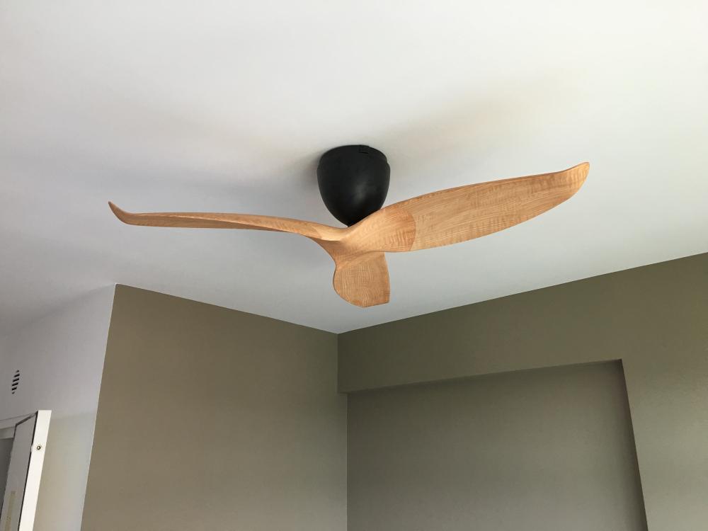 Ceiling Fan Recommendation, Which Ceiling Fan Brand Is Best In Singapore
