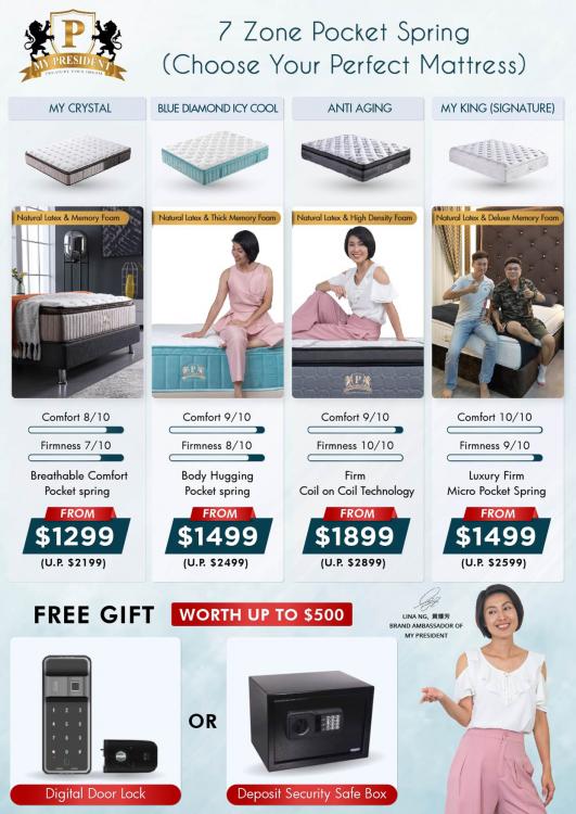 My-President-Mattress_Choose-Your-Perfect-Mattress-1.jpg.e7616c21687d70ffc2be8b82839c382e.jpg