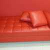 Red couch 250 10 10