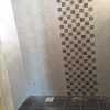 master toilet tiles complete