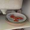 enamel plates