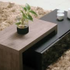 Lushture Coffee table