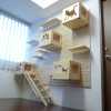 modular Cat climbing wall 1