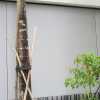 IMG 6437