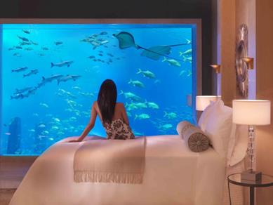 image for Cool Fish Aquarium In Your Bedroom