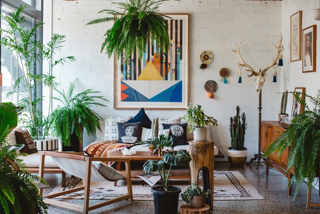 A bright living room with a lot of house plants and wall art