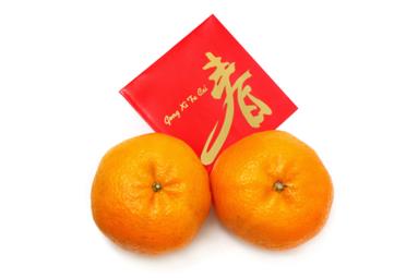 image for Yusheng Idioms and more Chinese New Year Favourites