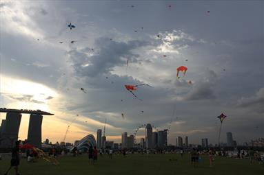 image for 7 Best Picnic Spots in Singapore That Are Instagram-worthy