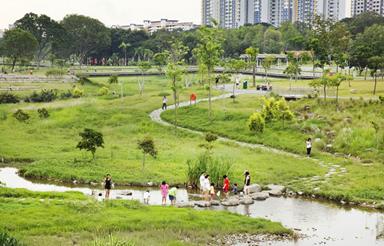 image for 7 Best Picnic Spots in Singapore That Are Instagram-worthy