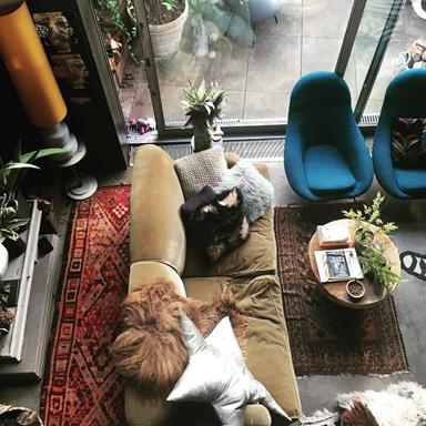 image for 8 Instagram Inspirations For The Interior Hungry