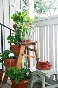 image for 8 Amazing Ideas For Your Garden