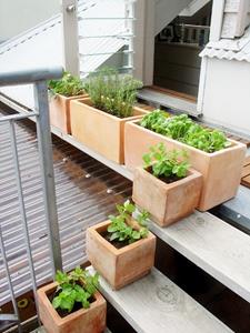 image for 8 Amazing Ideas For Your Garden