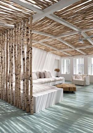 image for 5 Creative Natural Decors for Contemporary Homes