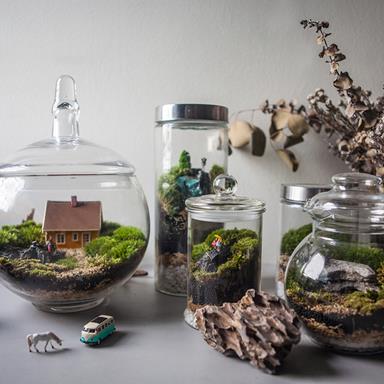 image for Interview With Mossingarden: Mini Gardens Of The Modern Home