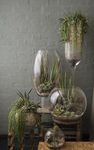 image for Lovely Ideas That Will Make You Crave An Indoor Garden