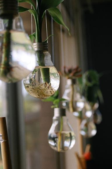 image for Lovely Ideas That Will Make You Crave An Indoor Garden