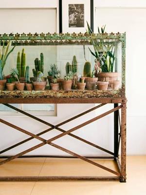 image for Lovely Ideas That Will Make You Crave An Indoor Garden