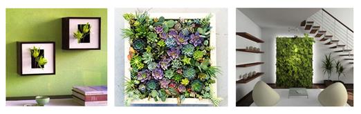 image for Vertical Garden Wall