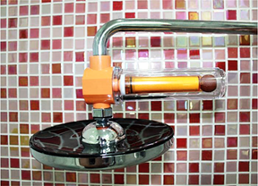 image for Vitamin C Infused Shower For Health and Beauty